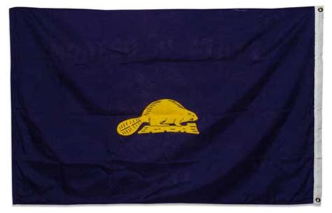 oregon state flag – Flag Blog