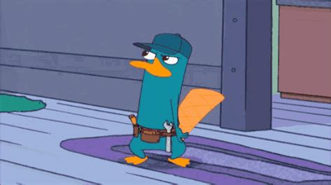 Perry The Platypus Angry With Dr. Heinz Doofenshmirtz GIF | GIFDB.com