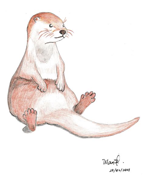 An otter drawing I made for a friend! : r/Otters