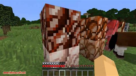 The Meat Mod 1.11.2/1.8.9 (You are a Disgusting Human) - 9Minecraft.Net