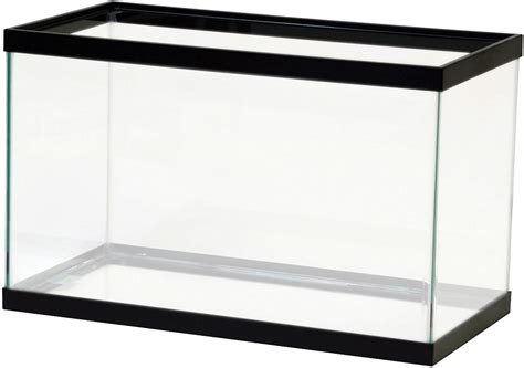 best 10 gallon aquariums Archives - aquariumdimensions