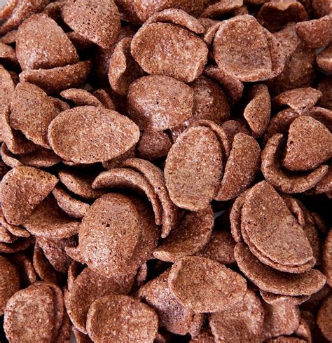 Chocolate cereal stock photo. Image of closeup, dairy - 12830208