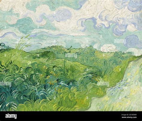 Vincent Van Gogh - Green Wheat Fields Auvers Stock Photo - Alamy