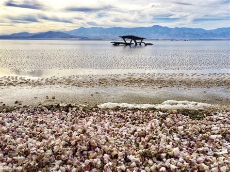 The Salton Sea: A Ghostly Lake in the Desert - La Vida is Belle