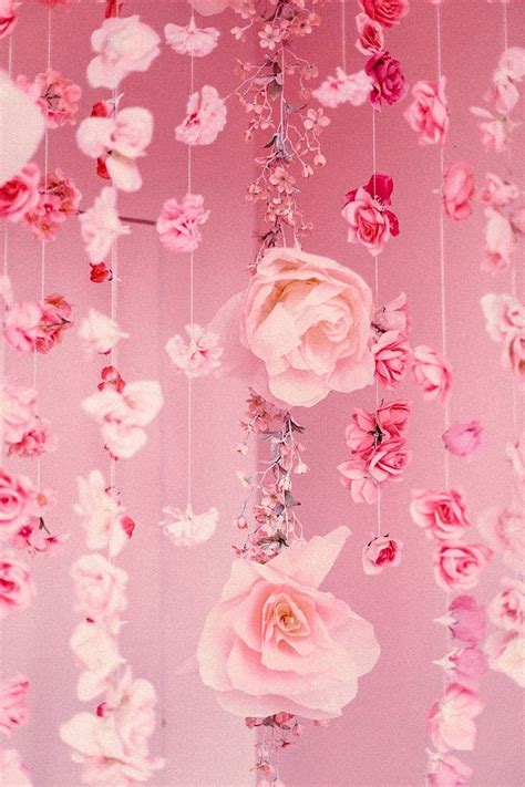 Pink Freak | Pastel pink aesthetic, Pink aesthetic, Pink decor