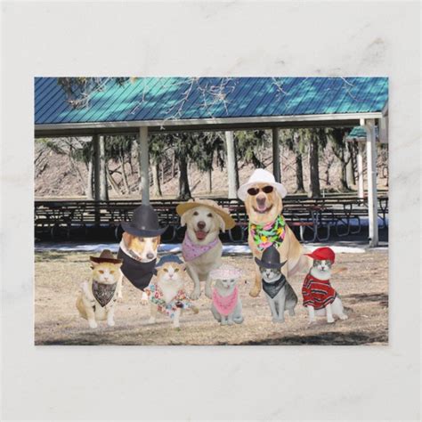 Funny Family Reunion Invitation Postcard | Zazzle