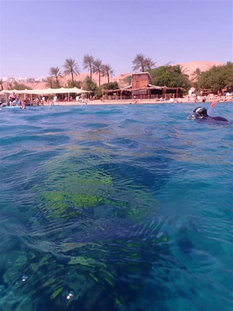 Snorkeling in Dekel Beach, Eilat | Snorkeling in Israel