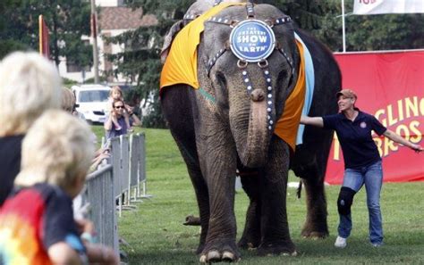 Elephant race | Photos | rapidcityjournal.com