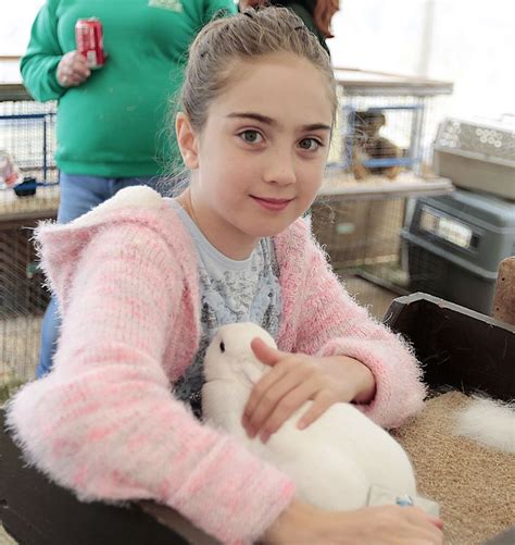 Scarlet Stewart,10, of Barnstable combs a rabbit at the 4H Fair in Middleboro on Sunday ...