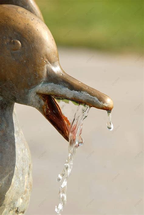 Fountain Details Opened Decorative Flow Photo Background And Picture ...