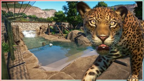 Jaguar Habitat | Sequora Zoo | Planet Zoo Speed Build - YouTube