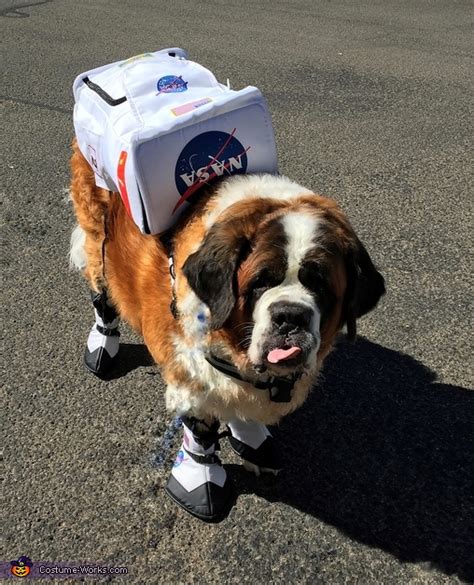 Astronaut Dog Costume | DIY Instructions