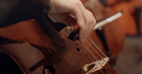 Close Up Shot of a Person Playing Cello · Free Stock Video