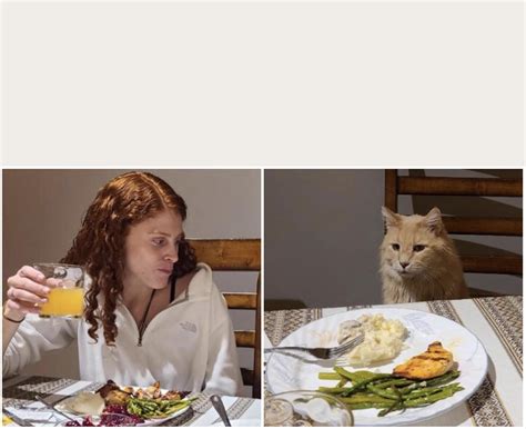 Invest in the “cat at dinner table” meme template : r/MemeEconomy