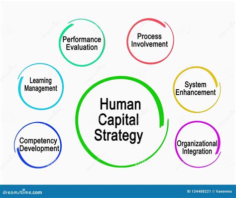 Human Capital Strategy stock illustration. Illustration of involvement - 134488221