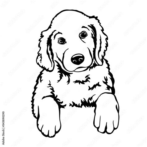 Puppies Clipart Black And White