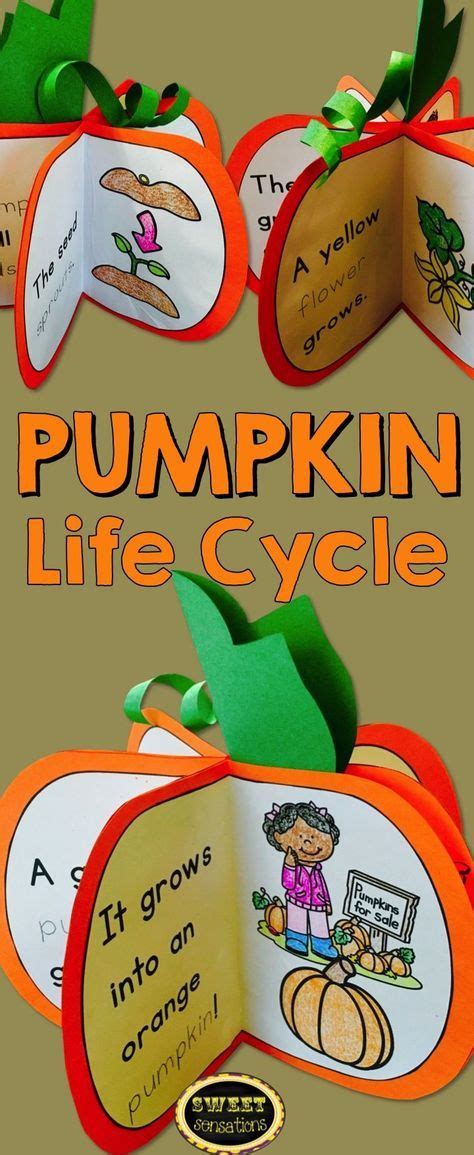 Pumpkin Life Cycle Craft | From Seed to Pumpkin | Life Cycle of a Pumpkin | Pumpkin life cycle ...