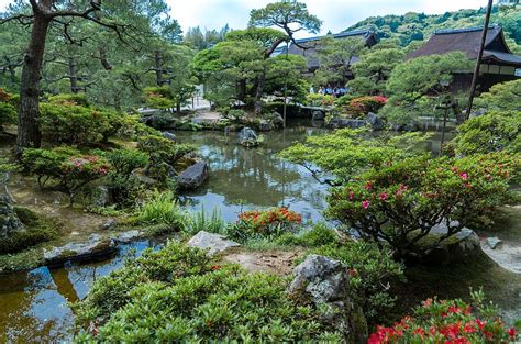 HD wallpaper: trees, bridge, pond, Japan, garden, Kyoto, the temple Daigo-JI temple Bentendo ...