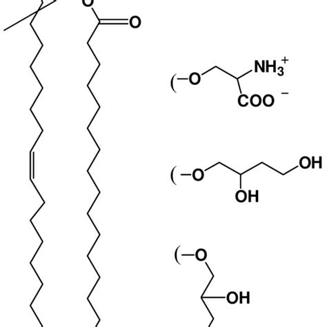 3. AFM image of a dried DOPC film on OTS/SiO 2. The film was deposited ...