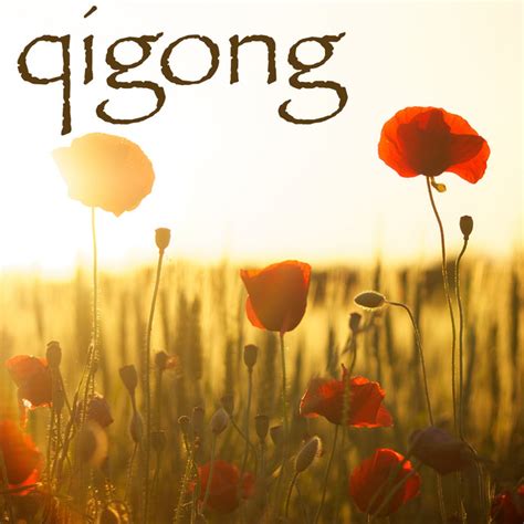 Qigong - Chi Gong Oriental Music with Relaxing Nature Sounds - Album by Qi Gong Academy | Spotify