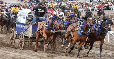 Second horse dies during chuckwagon races at Calgary Stampede | Listed