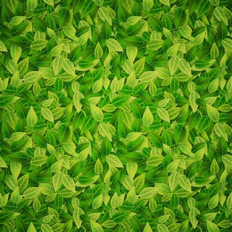 Premium Vector | Green leaves background, vector illustration