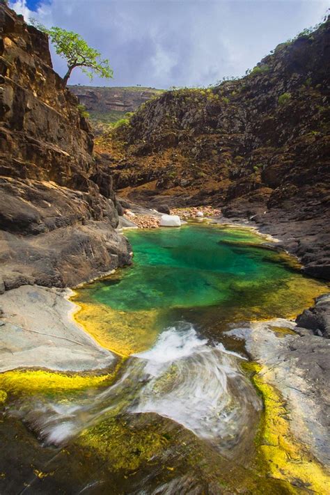 Socotra Island | Socotra, World heritage sites, Unesco world heritage site