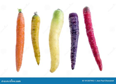 Composition with Heritage Carrot Varieties Aligned Against a White Background Stock Photo ...