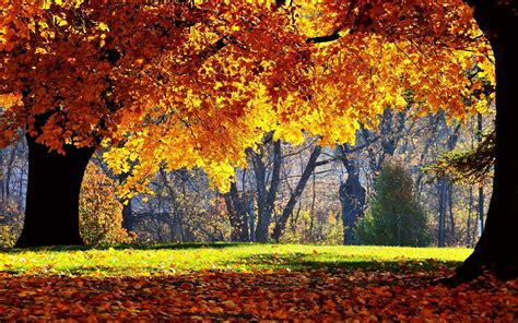 Cool Autumn Wallpapers - Top Free Cool Autumn Backgrounds - WallpaperAccess