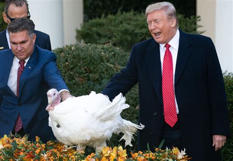 Trump tells impeachment jokes at annual turkey pardon event - The ...