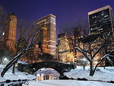 New York City at Winter. | My Screensaver for the season. | New york winter, Central park winter ...