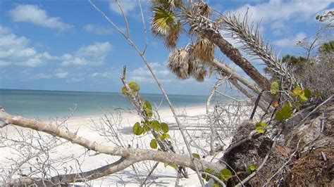 Barefoot Beach Bonita Springs, Florida - Island Lime Videos - YouTube