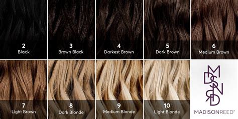 What Color Is My Hair? Color Levels Guide | Madison Reed