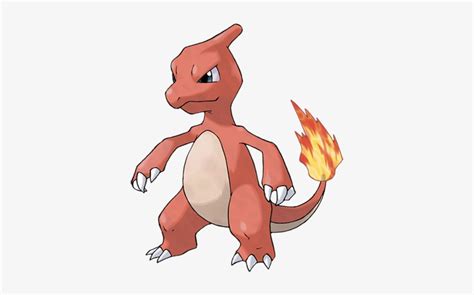 Charmeleon - Pokemon Charmeleon Transparent PNG - 431x431 - Free ...