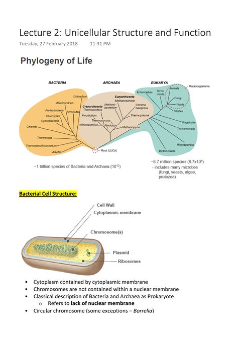 Lecture 2 Unicellular Structure and Function - Lecture 2: Unicellular Structure and Function ...