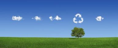 Lonely Tree And World Map Clouds (XXXLarge) Stock Photo - Image of grass, outdoors: 12095316