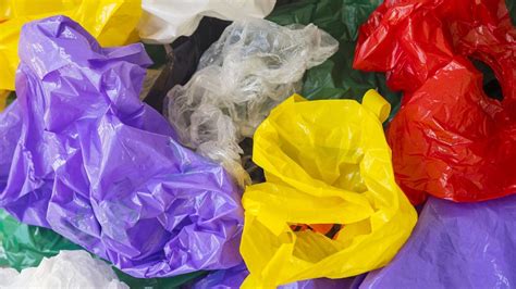 Une jeune femme de 23 ans crée un bioplastique qui se décompose en 6 ...