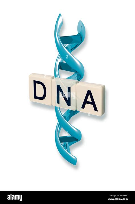 Letters DNA with helix Schriftzug DNA mit Alphadoppelhelix Stock Photo ...