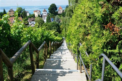 Meersburg Winemakers Festival 2024