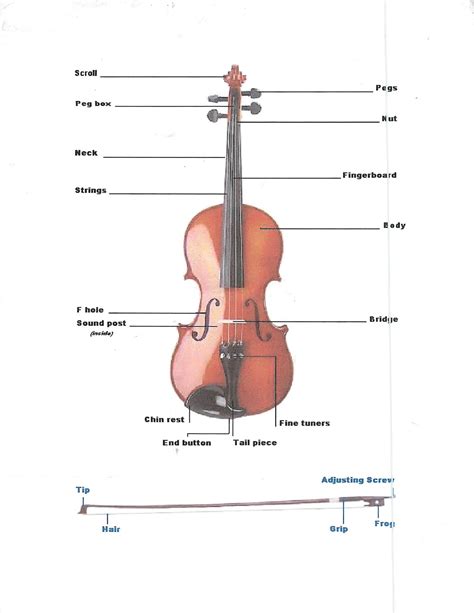 Parts Of The Violin Worksheets