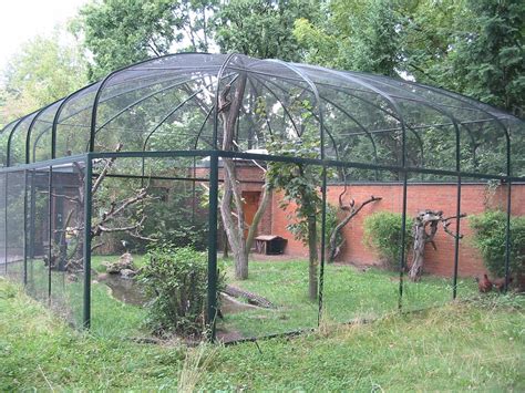 bird zoos - Google Search #aviariesdiy | Bird aviary, Aviary, Outdoor pet enclosure