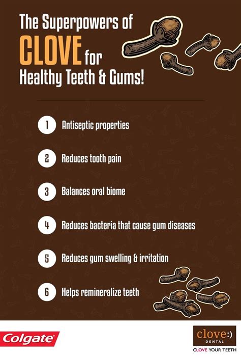 Is Clove Good For Your Teeth - TeethWalls