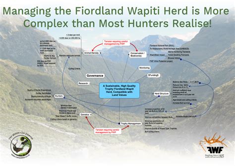 Wapiti Herd Management in Fiordland