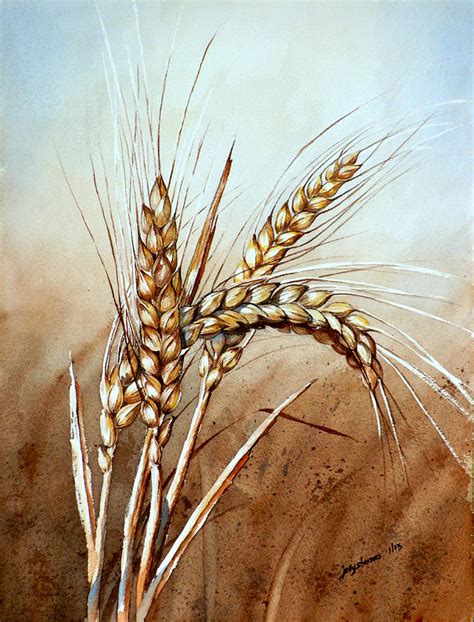 Wheat Stalk Painting by Jelly Starnes