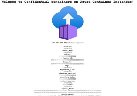 Tutorial - Deploy a confidential container to Azure Container Instances via Azure portal - Azure ...