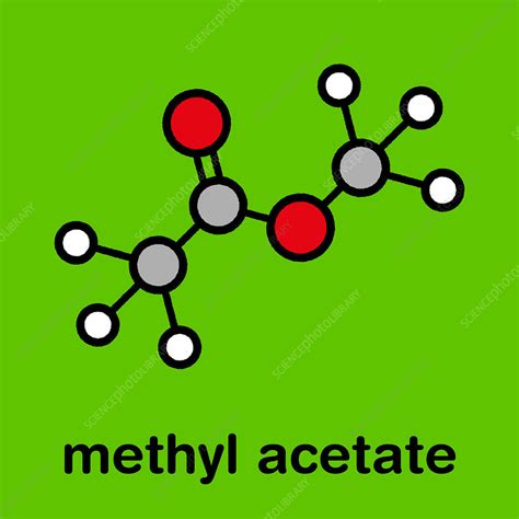 Methyl acetate solvent molecule, illustration - Stock Image - F027/8875 - Science Photo Library