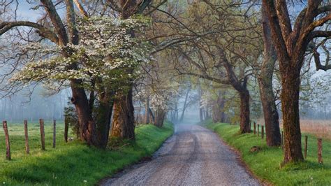 Great Smoky Mountains National Park Road Path Wallpaper, HD Nature 4K Wallpapers, Images and ...