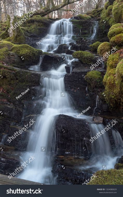 Birks Aberfeldy Circular Walk Through Mature Stock Photo 1324080029 ...