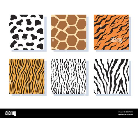 set jungle animal skin striped seamless patterns vector illustration ...