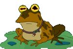 Hypnotoad - Futurama Wiki, the Futurama database